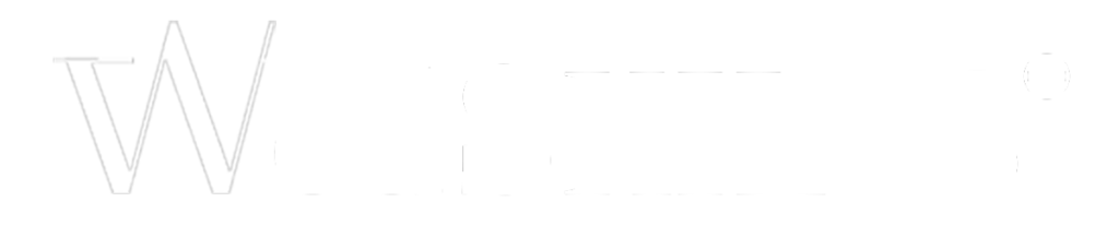 logo wedskills