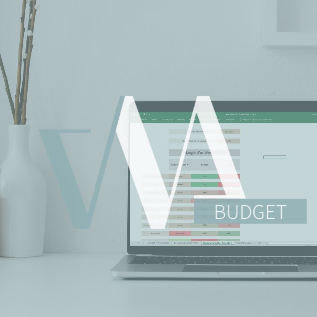 wedmana budget mariage excel