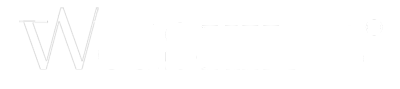 logo wedskills